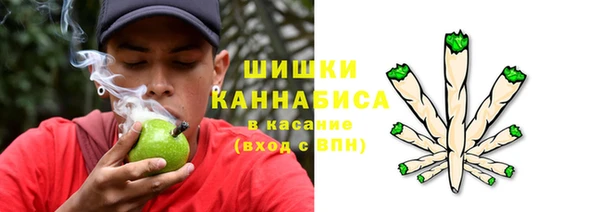 шишки Балахна