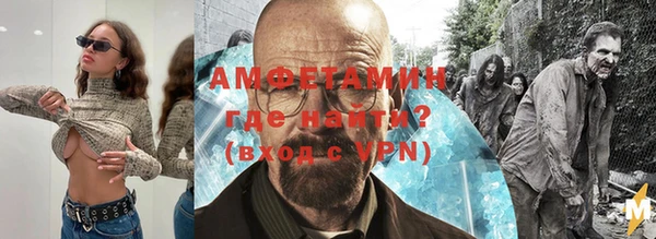 шишки Балахна