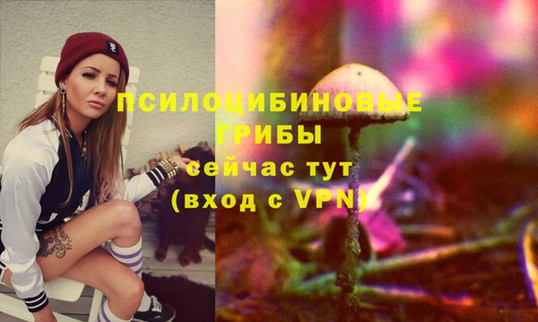 шишки Балахна
