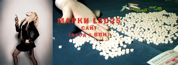 шишки Балахна