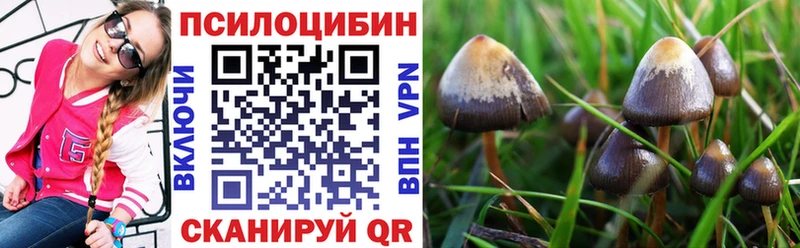 даркнет сайт  Буй  Галлюциногенные грибы Cubensis 