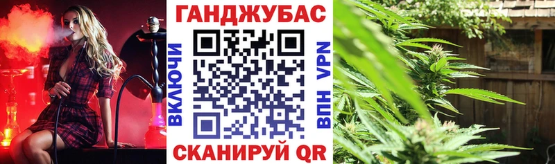 Канабис ГИДРОПОН  Буй 
